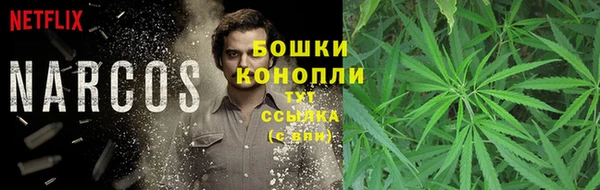 сатива Бугульма